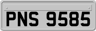 PNS9585