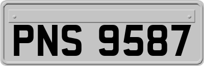PNS9587