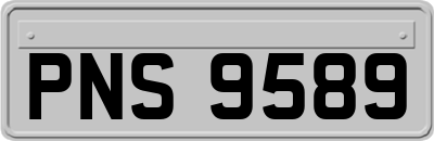 PNS9589