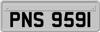 PNS9591