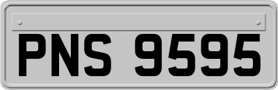 PNS9595