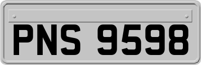 PNS9598