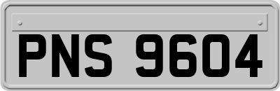 PNS9604
