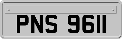 PNS9611