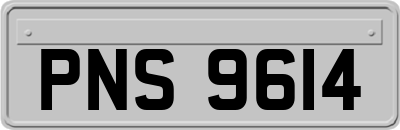 PNS9614