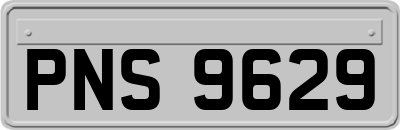 PNS9629