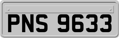 PNS9633