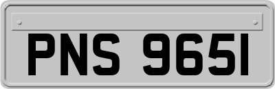 PNS9651