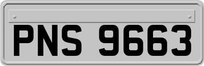 PNS9663
