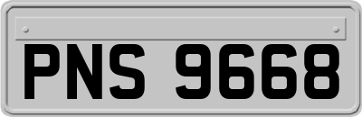 PNS9668