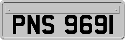 PNS9691