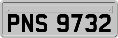 PNS9732