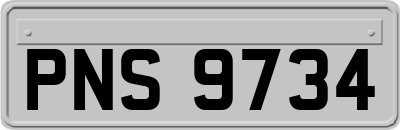 PNS9734