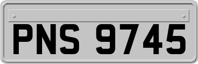 PNS9745