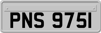 PNS9751