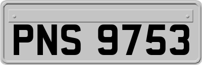 PNS9753