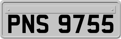 PNS9755