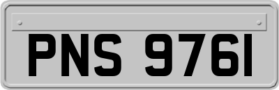 PNS9761
