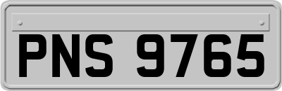 PNS9765
