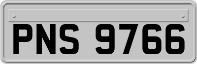 PNS9766