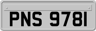 PNS9781