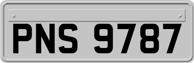 PNS9787