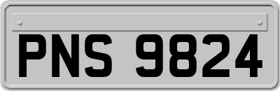 PNS9824