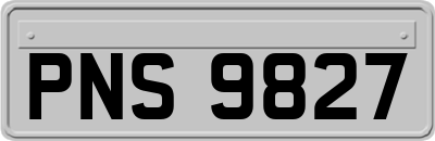 PNS9827