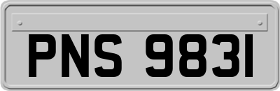 PNS9831