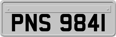 PNS9841
