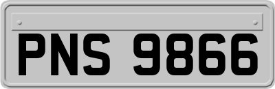 PNS9866