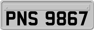 PNS9867