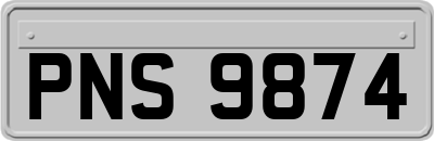 PNS9874