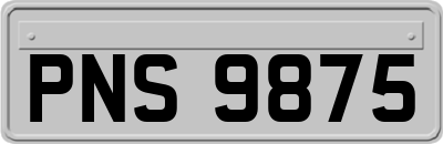 PNS9875