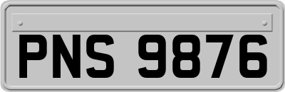 PNS9876