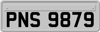 PNS9879