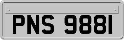 PNS9881