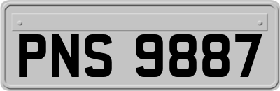 PNS9887