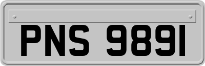 PNS9891