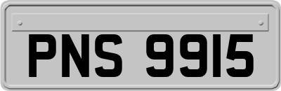 PNS9915