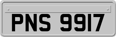 PNS9917