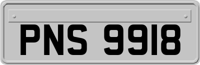 PNS9918