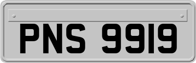 PNS9919