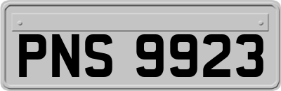 PNS9923