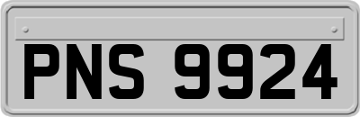 PNS9924