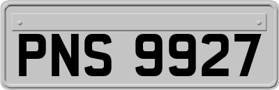 PNS9927