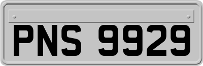 PNS9929
