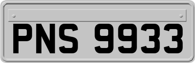 PNS9933