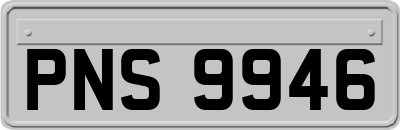 PNS9946