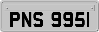 PNS9951